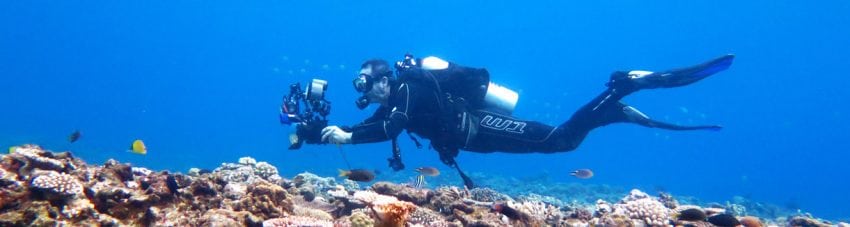Pete McGee – award winning underwater photographer