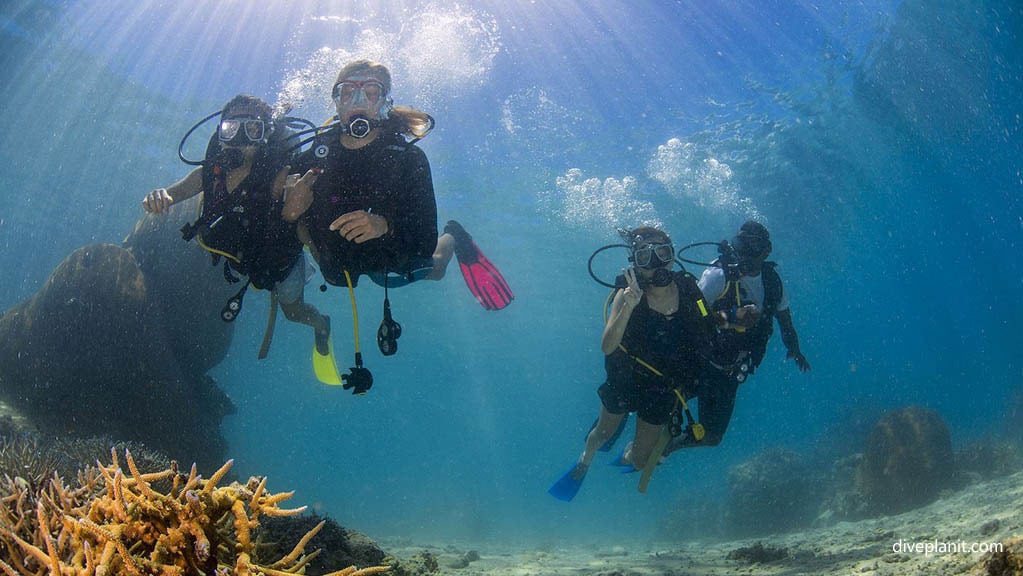 Group of divers underwater diving barefoot manta with barefoot manta at yasawa islands fiji islands diveplanit