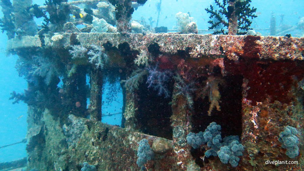 Soft coral encrusted wheelhouse diving Johns Tunnel at Beqa Lagoon Fiji Islands by Diveplanit