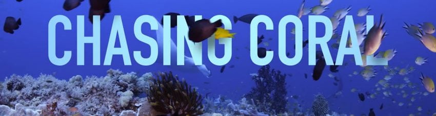 Chasing Coral – connecting coral bleaching to climate change