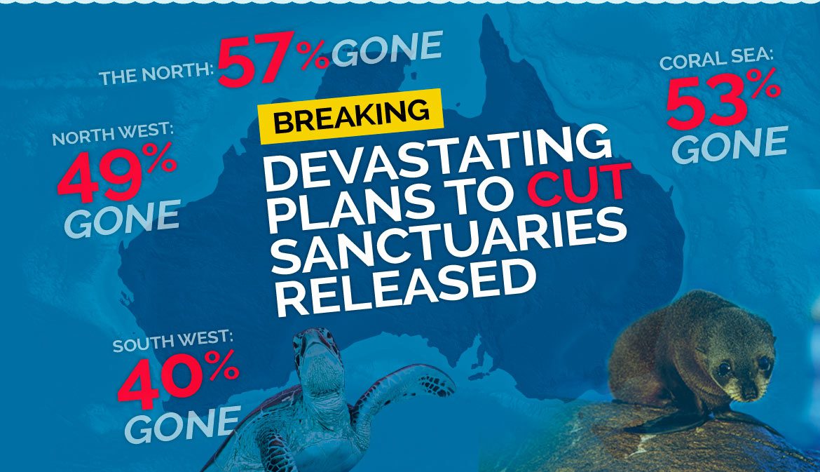 Commonwealth Marine Reserves to be renamed Australian Marine Parks and protection levels gutted