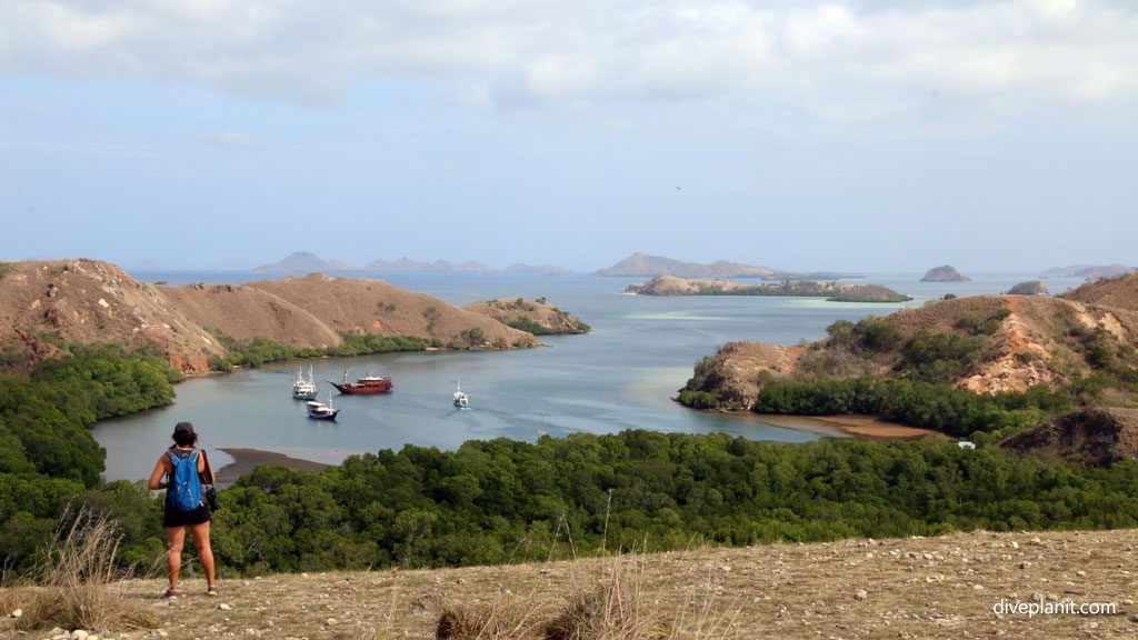 Komodo Diving Flores and the Komodo National Park