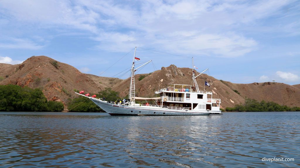 Komodo diving with mantas and turtles in a National Park with a great choice of boats and plenty of snorkelling and land trips great diving Indonesia