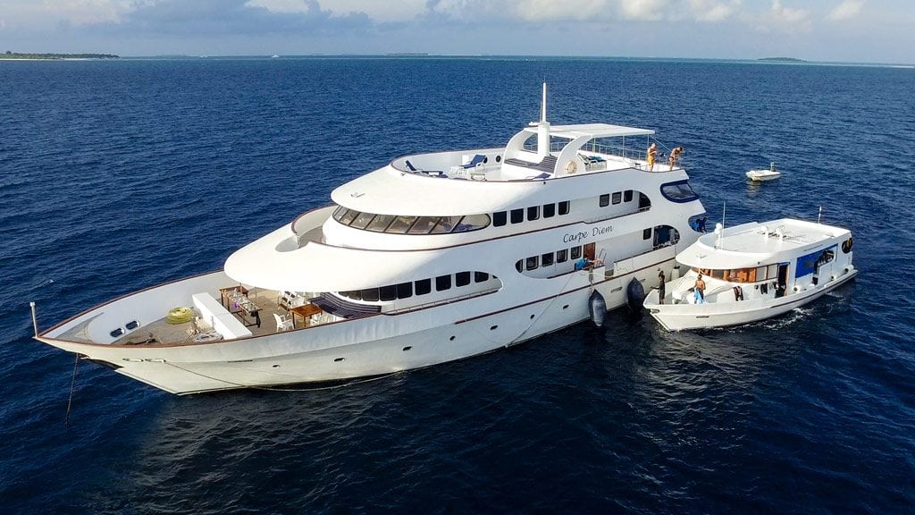 Dive with a purpose carpe diem cruise and dhoni
