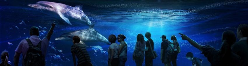 National Geographic’s Ocean Odyssey opens in New York City