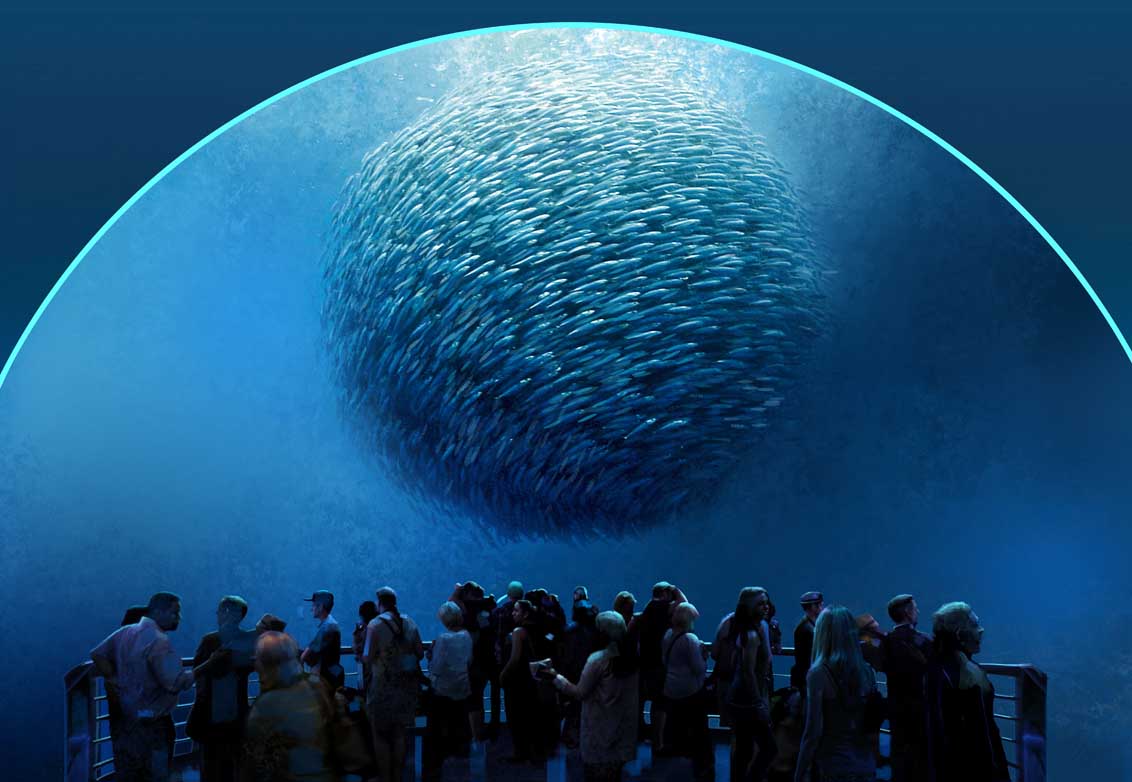 5 National Geographic Encounter Bait Ball