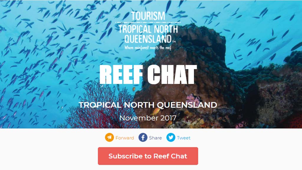 Coral spawning reef chat how to sign up It’s that time of year again when our Great Barrier Reef procreates. Millions of tiny animals have a simultaneous organism in the great coral spawning event
