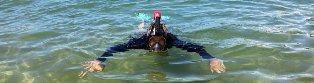 Diveplanit reviews the ninja shark full face snorkelling mask banner