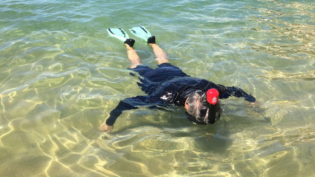 Diveplanit reviews the Ninja Shark full face snorkeling mask