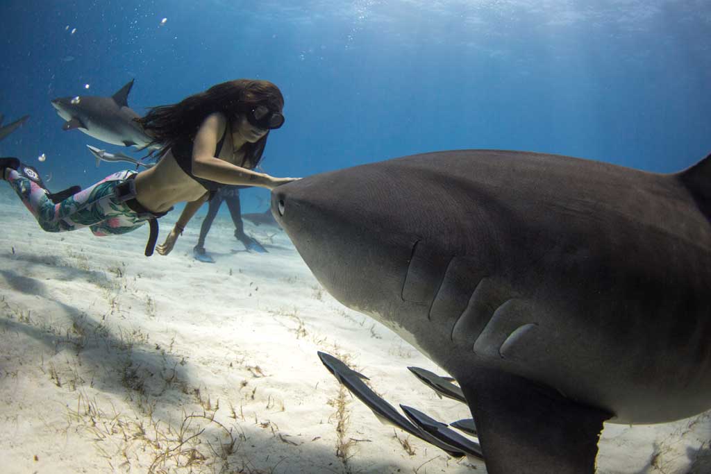 Shark Girl Madison Stewart with shark_6810