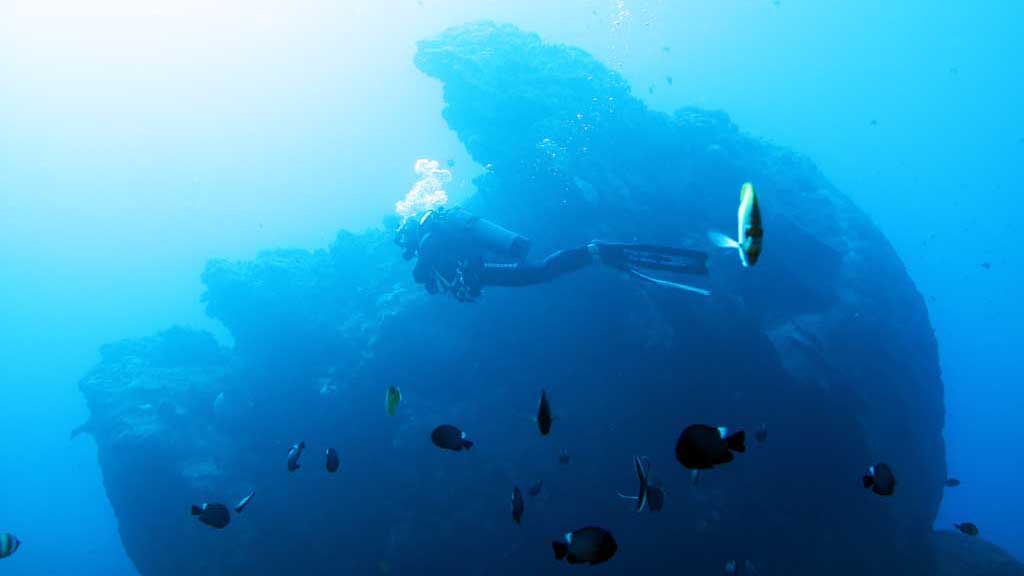 Diving Green Island Taiwan Donald Trump bommie