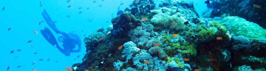 Diving Green Island Taiwan – why it’s worth adding to your diving holiday wish list