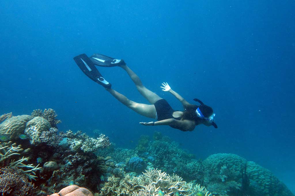 Lorie freediving in Louisiades Papua New Guinea marine conservation