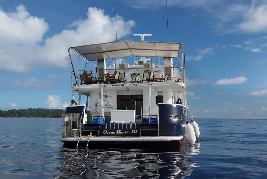 Ocean hunter liveaboard palau rear