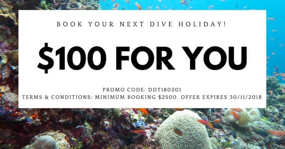 Diversion Dive Travel agency announced as the dive travel partner of Diveplanit - the dive content marketing and ocean advocacy group