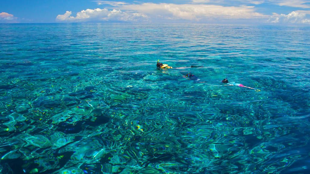 Tufi dive resort oro province png papua new guinea snorkelling