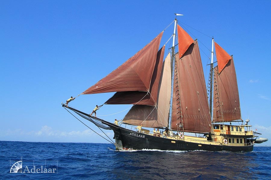 Adelaar liveaboard cruising and diving bali to komodo indonesia in full sail