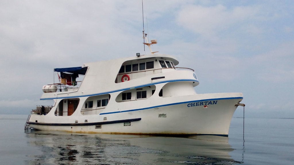 Mv chertan liveaboard alotau png papua new guinea boat