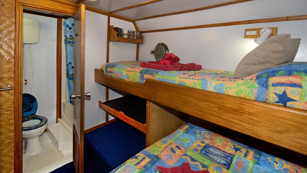 Mv febrina liveaboard kimbe bay new britain milne bay png papua new guinea en suite cabin