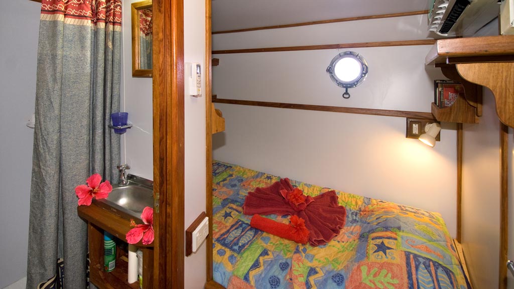 Mv febrina liveaboard kimbe bay new britain milne bay png papua new guinea en suite cabin