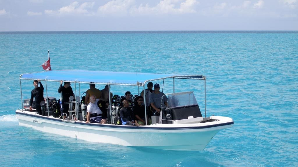 Palau Aggressor II, a luxurious Liveaboard in Palau - Dive Tender