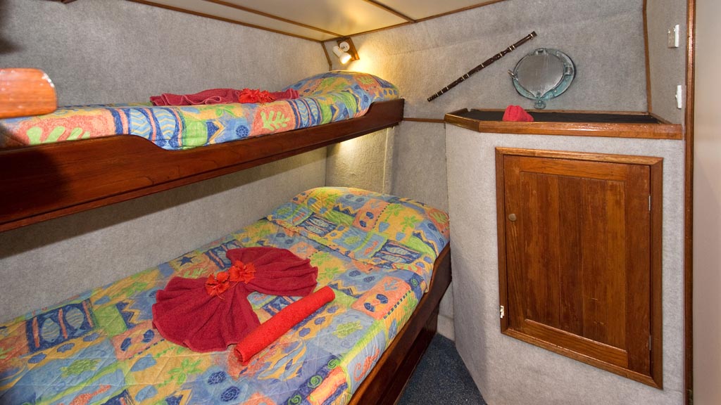 Mv febrina liveaboard kimbe bay new britain milne bay png papua new guinea en suite cabin