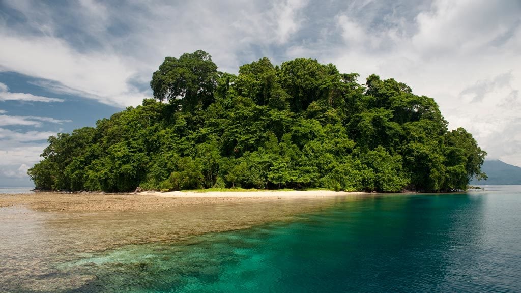 Walindi plantation resort kimbe bay png papua new guinea island copyright juergen freund