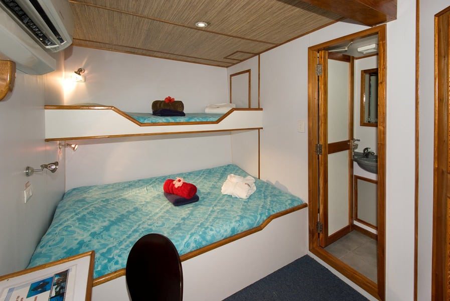 Ocean hunter liveaboard palau deluxe cabin