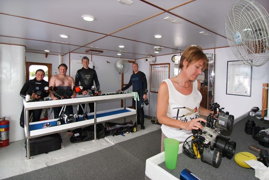 Ocean hunter liveaboard palau camera tables