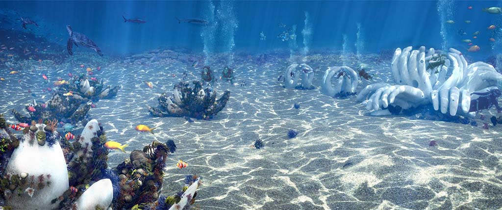 Coral gardening koh tao Coral Reef Restoration Coral Gardening Koh Tao