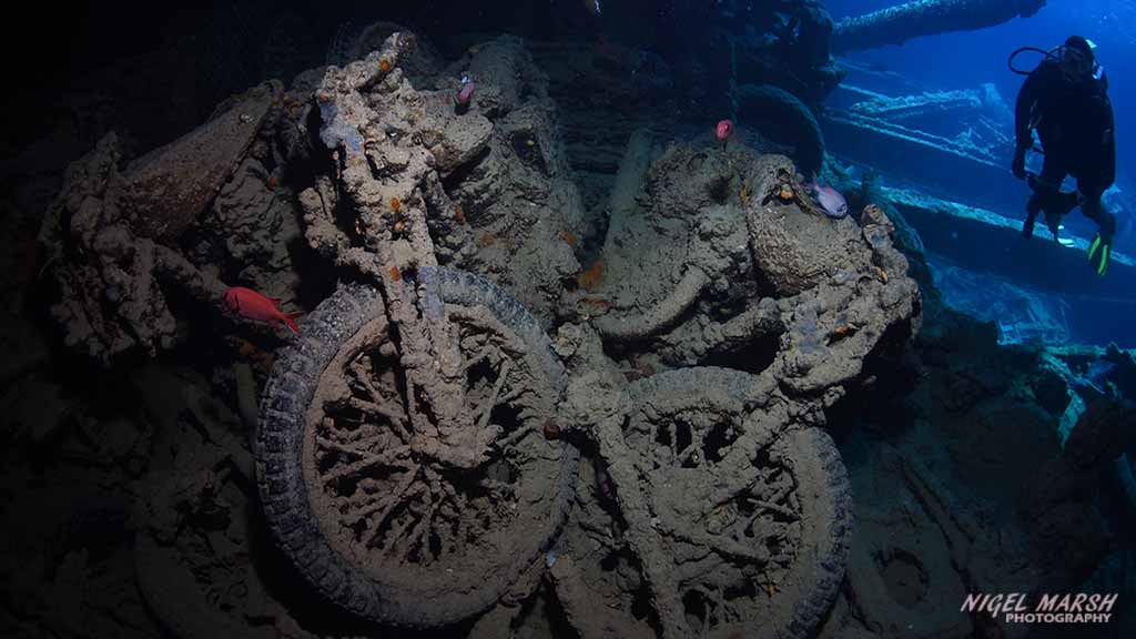 Egypt’s Red Sea Wrecks: the northern Red Sea in particular has an incredible variety of shipwrecks including the famous Thistlegorm