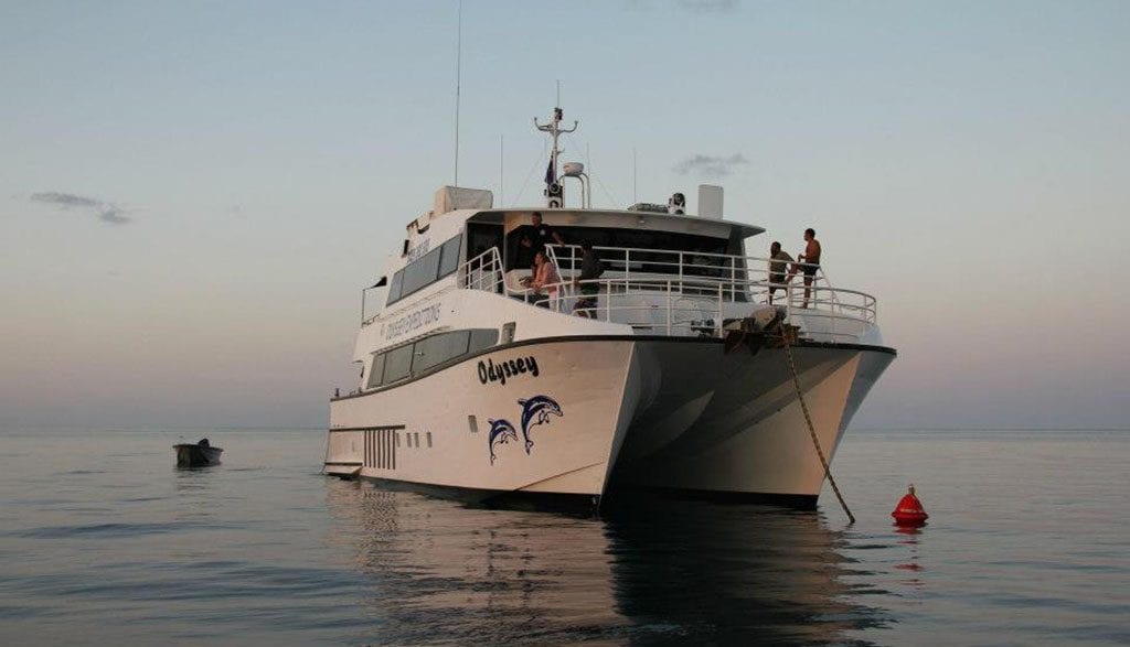 Diving Rowley Shoals with Odyssey Expeditions, Western Australia