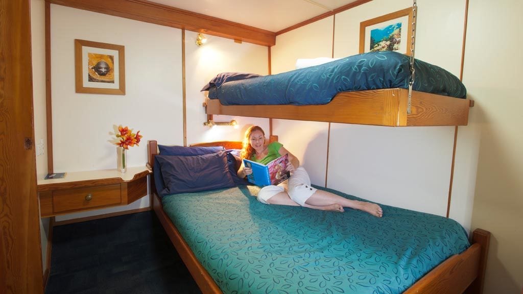 Spirit of freedom beautiful and luxurious liveaboard cairns australia cabin twindouble