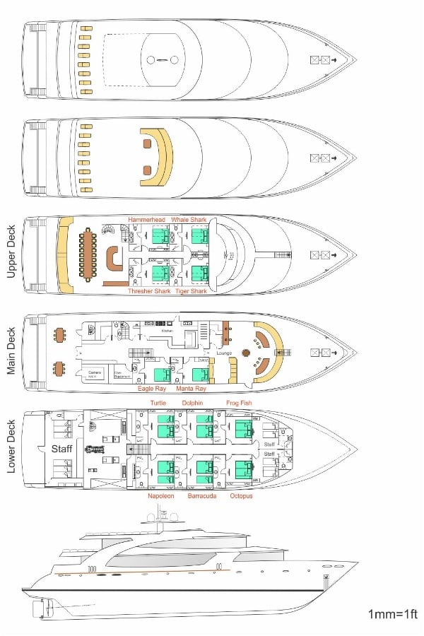 Carpe novo liveaboard maldives floor plan