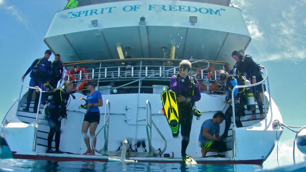 Spirit of freedom beautiful and luxurious liveaboard cairns australia dive entry