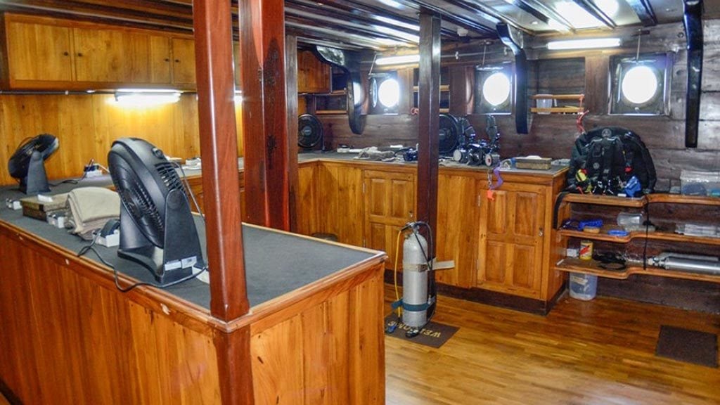 Amira liveaboard komodo raja ampat indonesia camera room