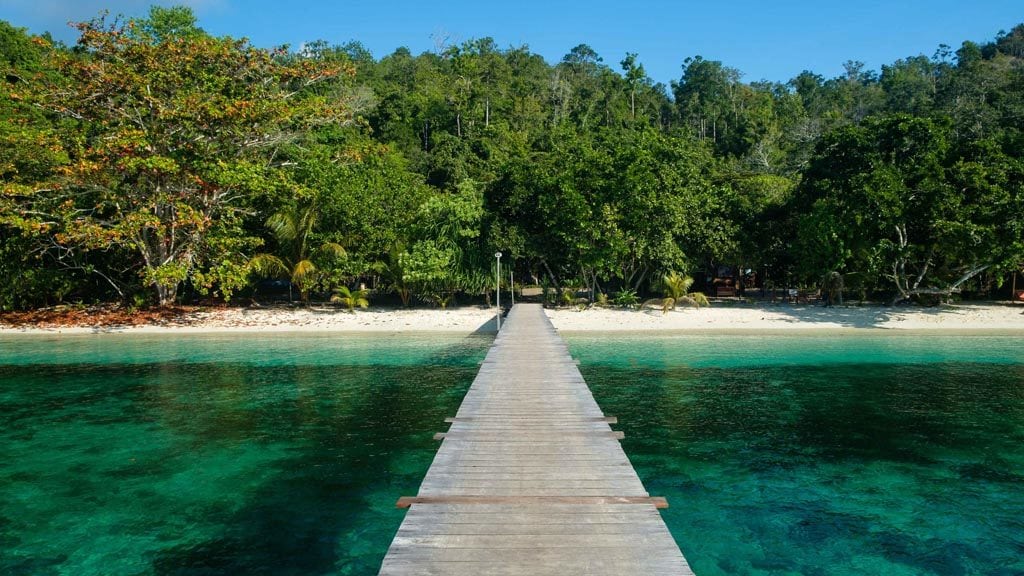 Biodiversity eco resort gam island raja ampat indonesia jetty