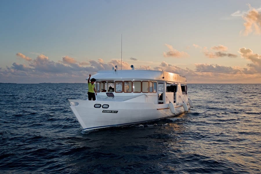 Carpe vita liveaboard maldives dhoni