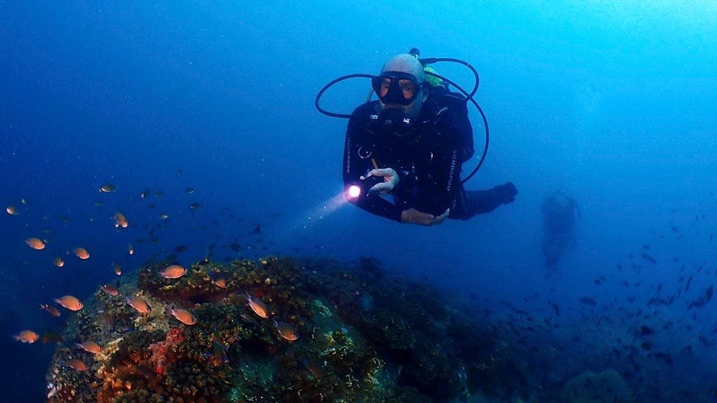 Diver with torch diving golden reef with bj diving at tioman island malaysia supplied