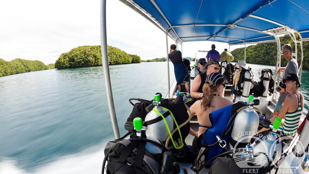 Rock Islands Aggressor offers cruises throughout Palau - Tender