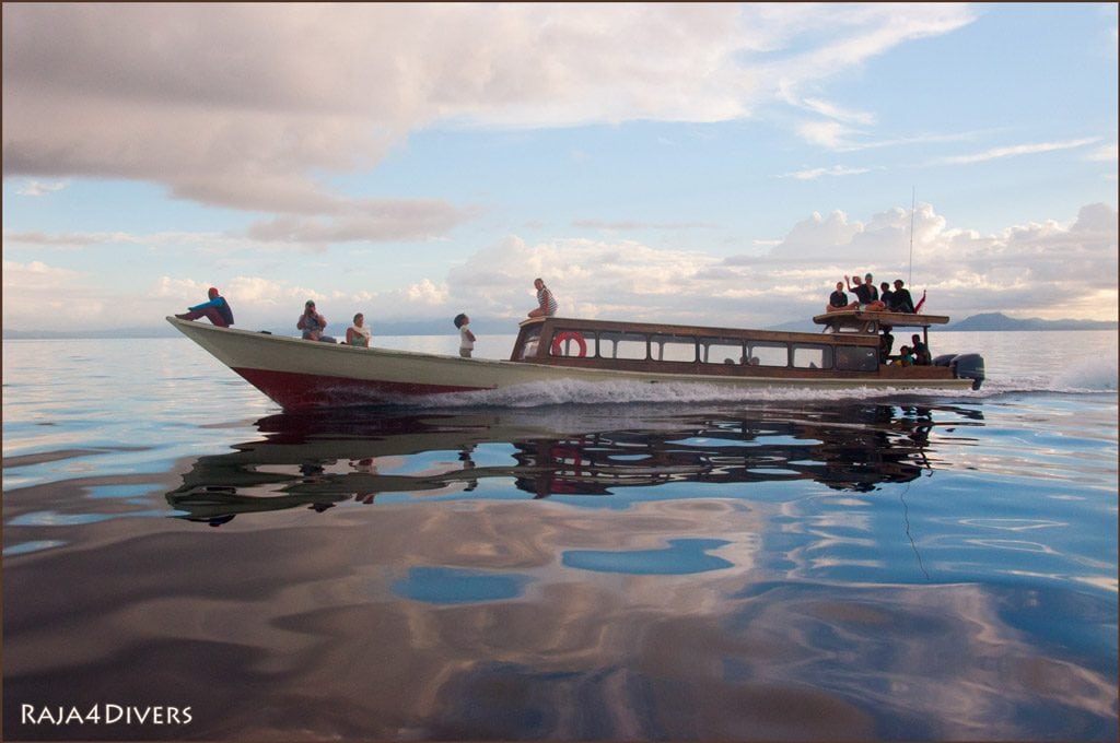 Raja divers pulau pef raja ampat indonesia transfer boat