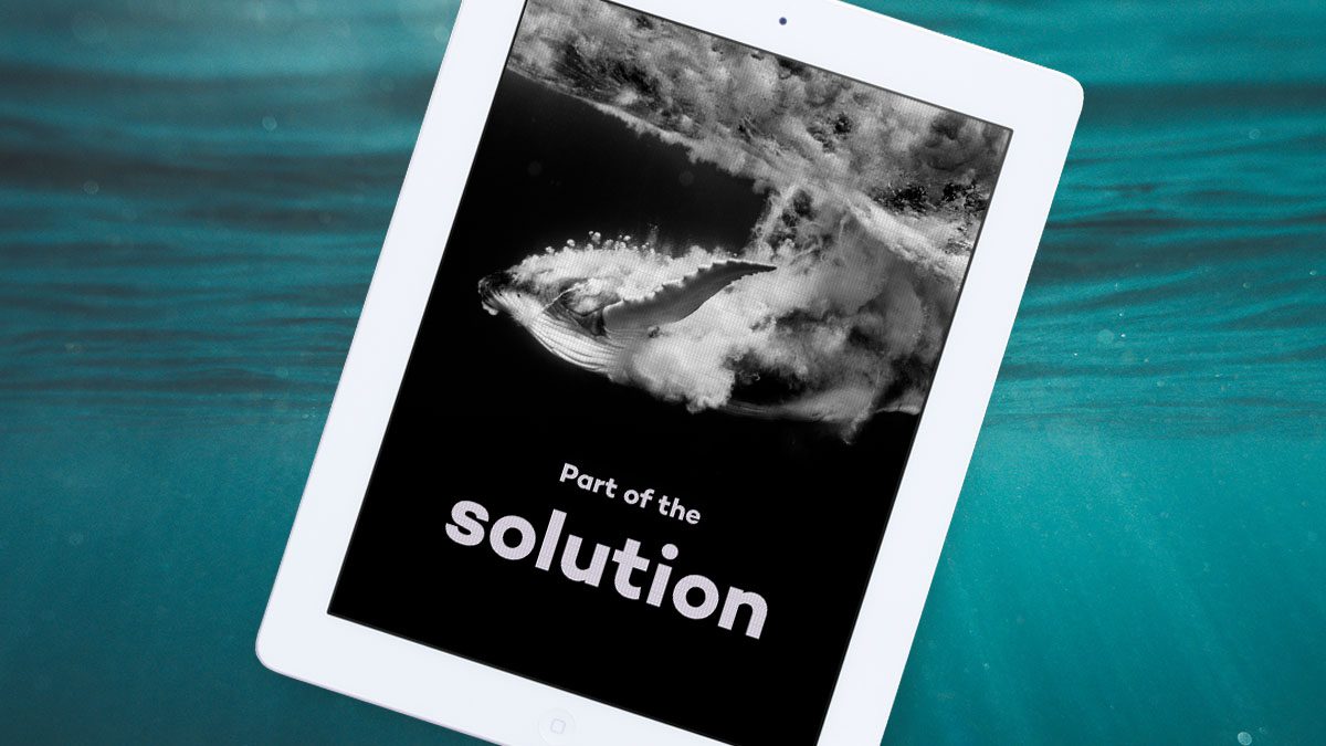 Part of the Solution e-book