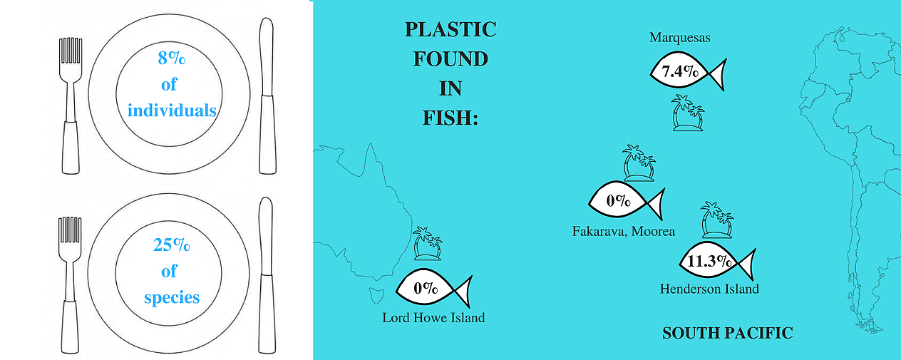 Plastic Ingestion Graphic