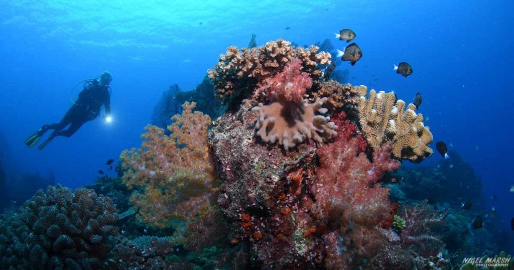 Beqa reefs Opengraph