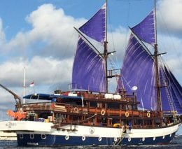 Sea safari raja ampat cendrawasih bay indonesia under sail banner