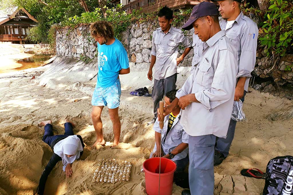 03 Lang Tengah Turtle Watch and Tanjong Jara Resort Staff, Interns and Rangers Relocating the First Nests of the 2018 Season