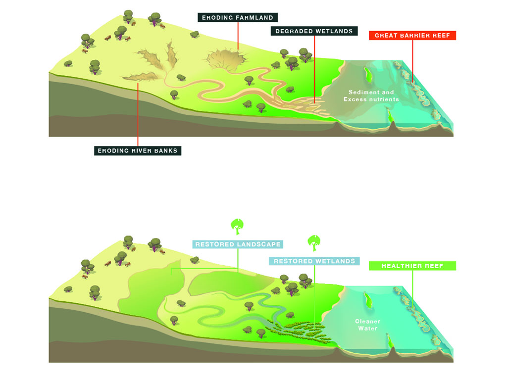 Erosion Resoration Strathalbyne Reef Aid Greening Australia Project