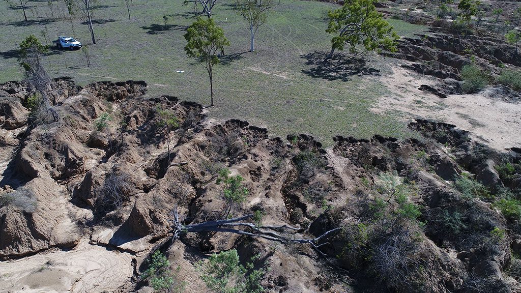 Erosion Resoration Strathalbyne Reef Aid Greening Australia Project