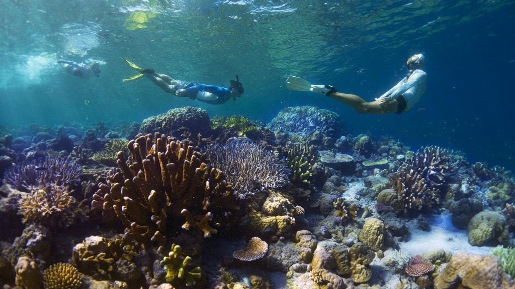 Dive munda solomon islands snorkelling at dream island