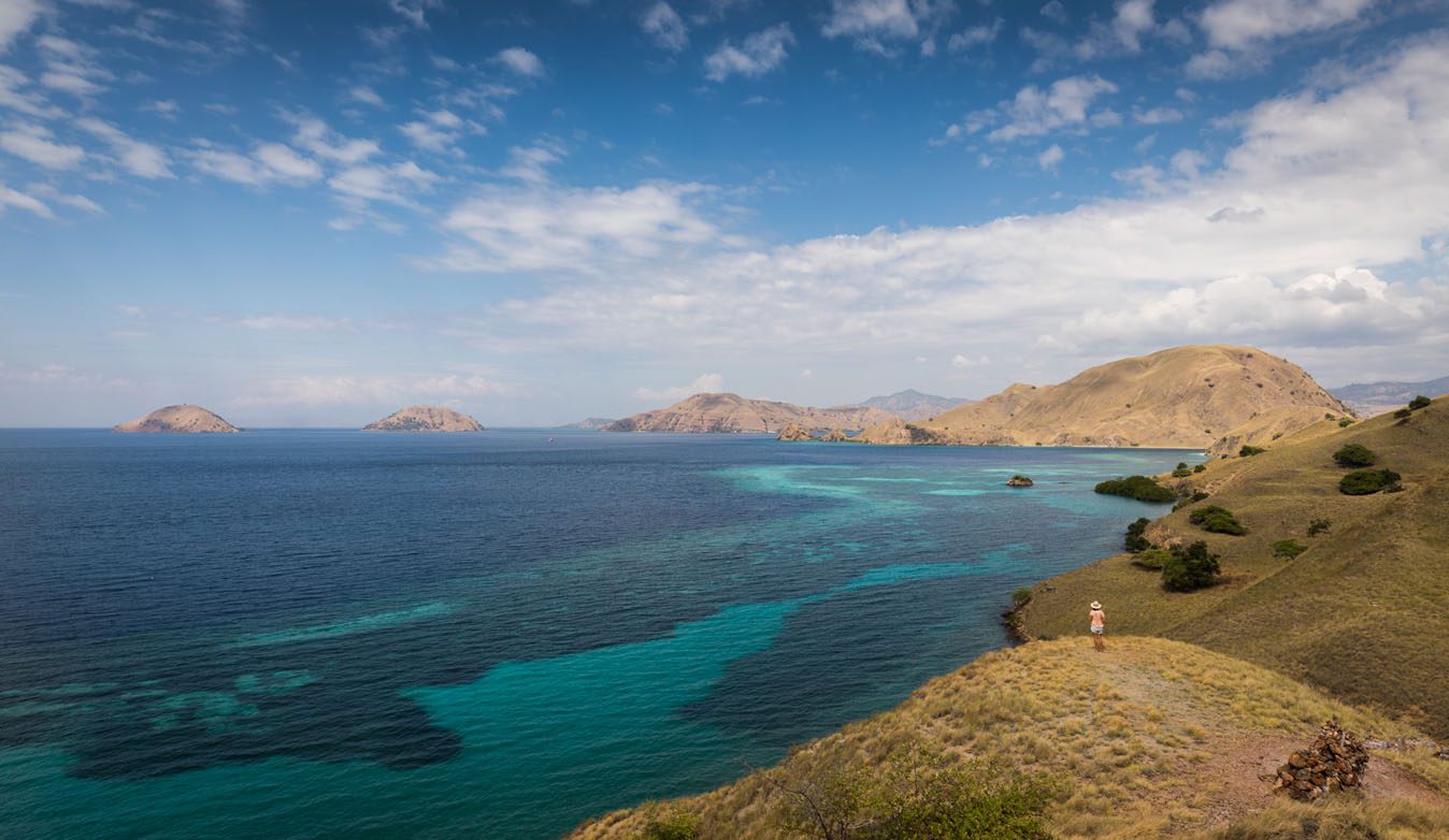 Komodo national park indonesia Komodo National Park Indonesia 1388